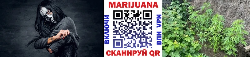 даркнет состав  Сухиничи  Шишки марихуана Bruce Banner 